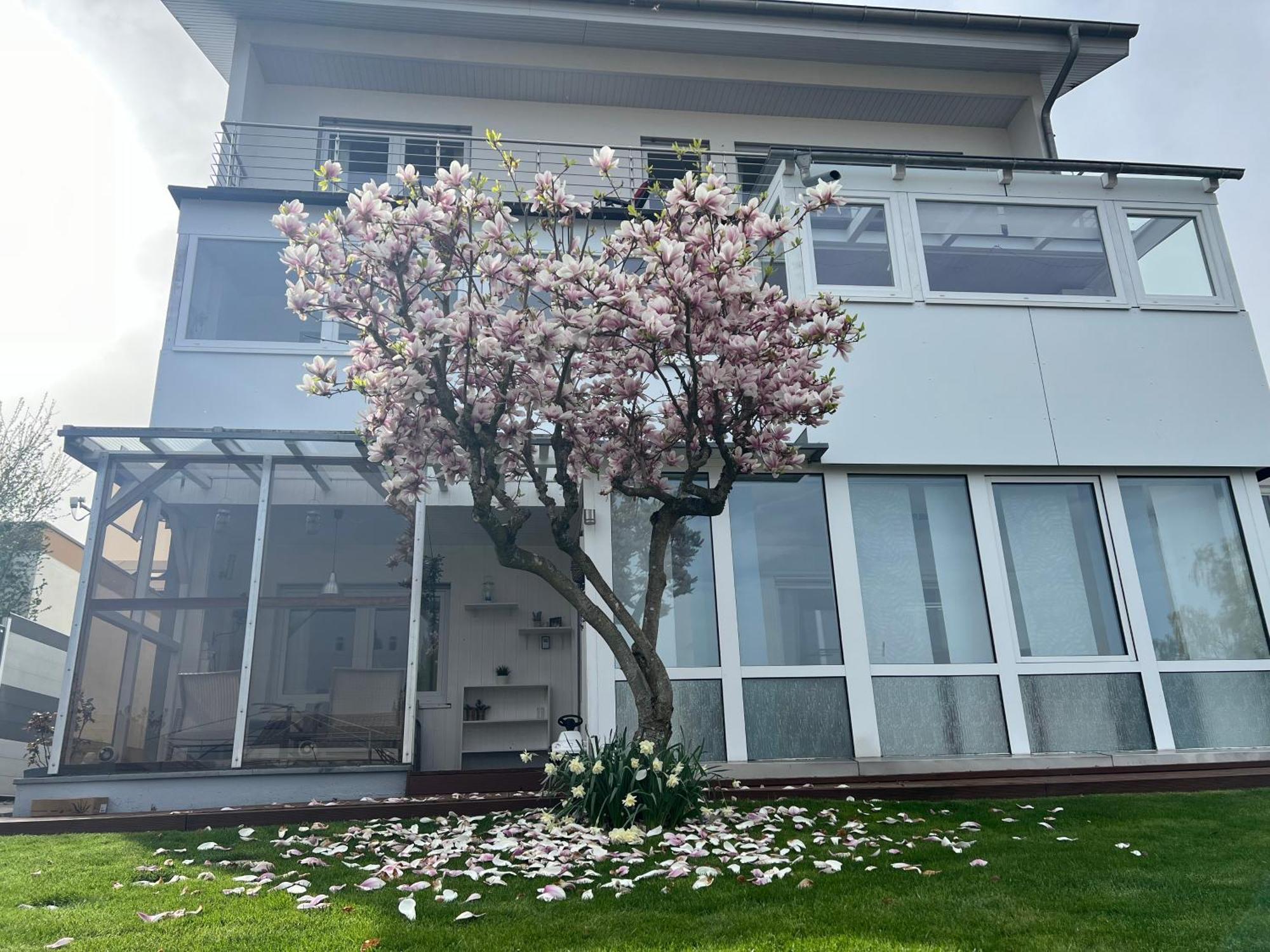 Ferienwohnung Schwarzwald Lodge Schömberg 외부 사진